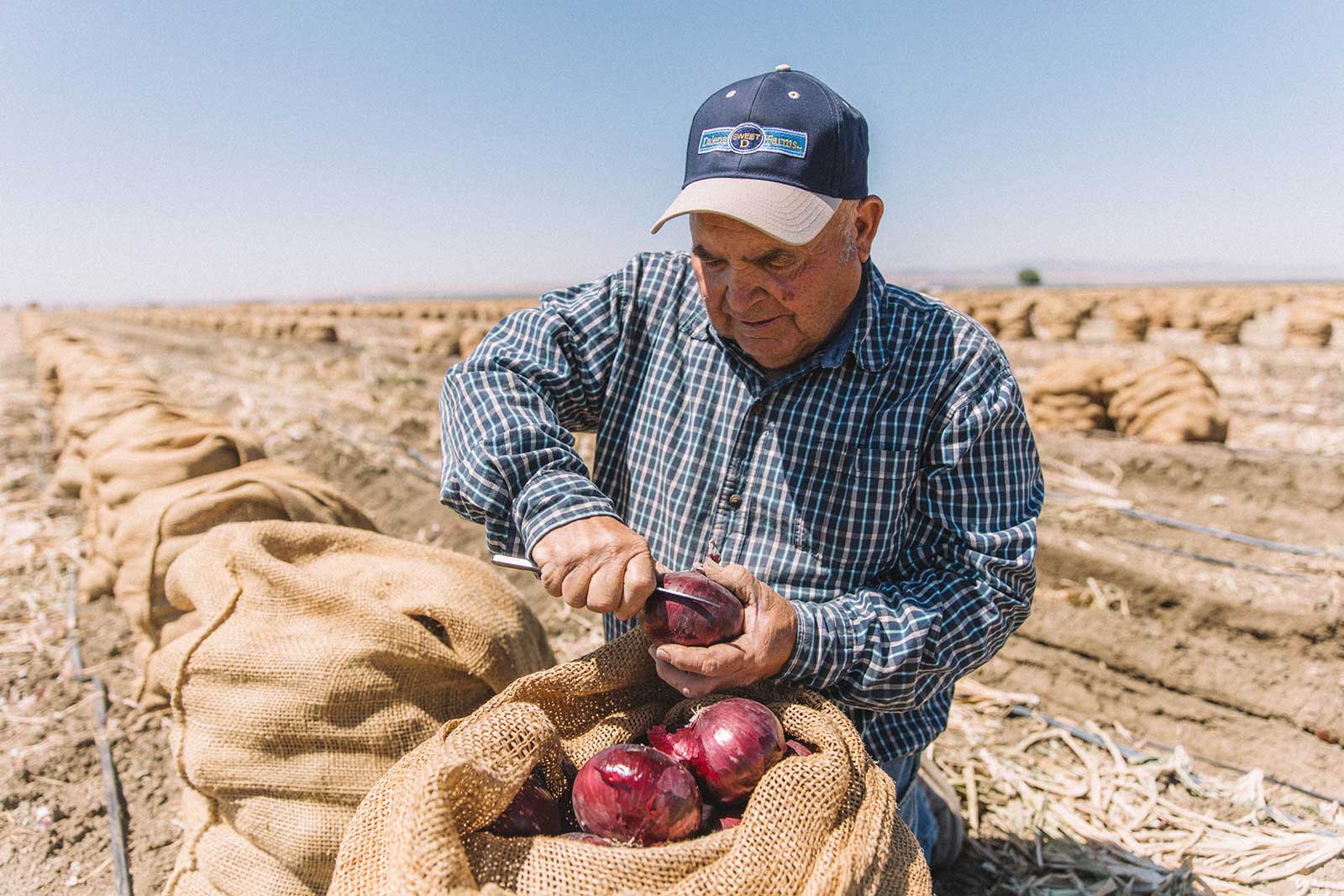 Quality Dalena Farms Inc.