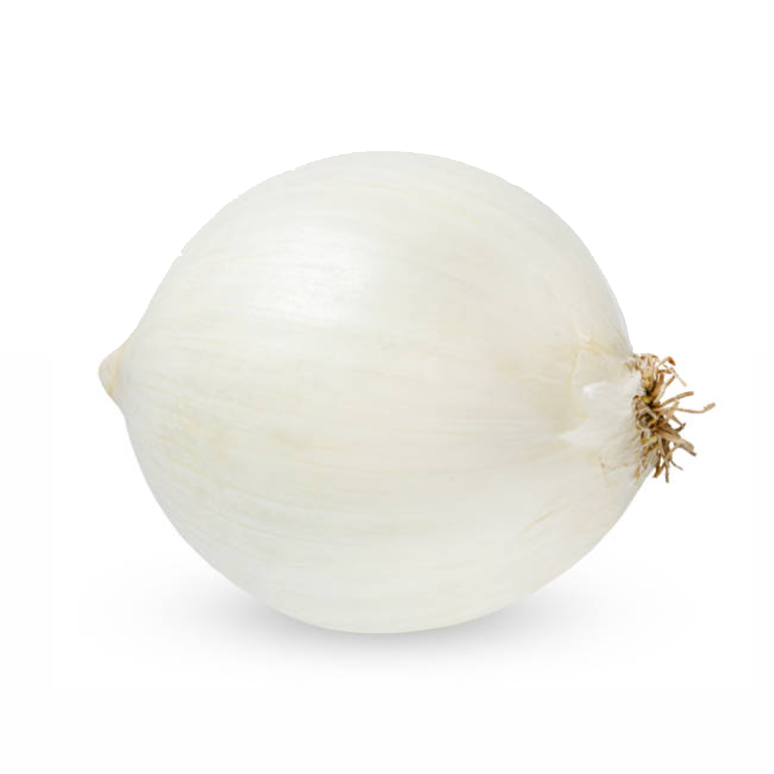 Dalena-Farms-Inc-White-Onion