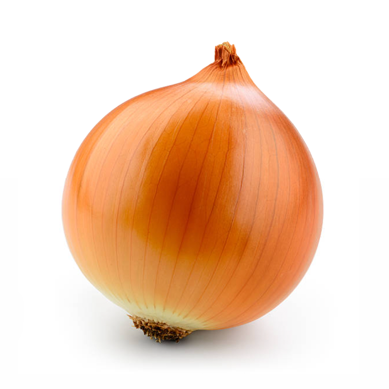Dalena-Farms-Inc-Yellow-Onions